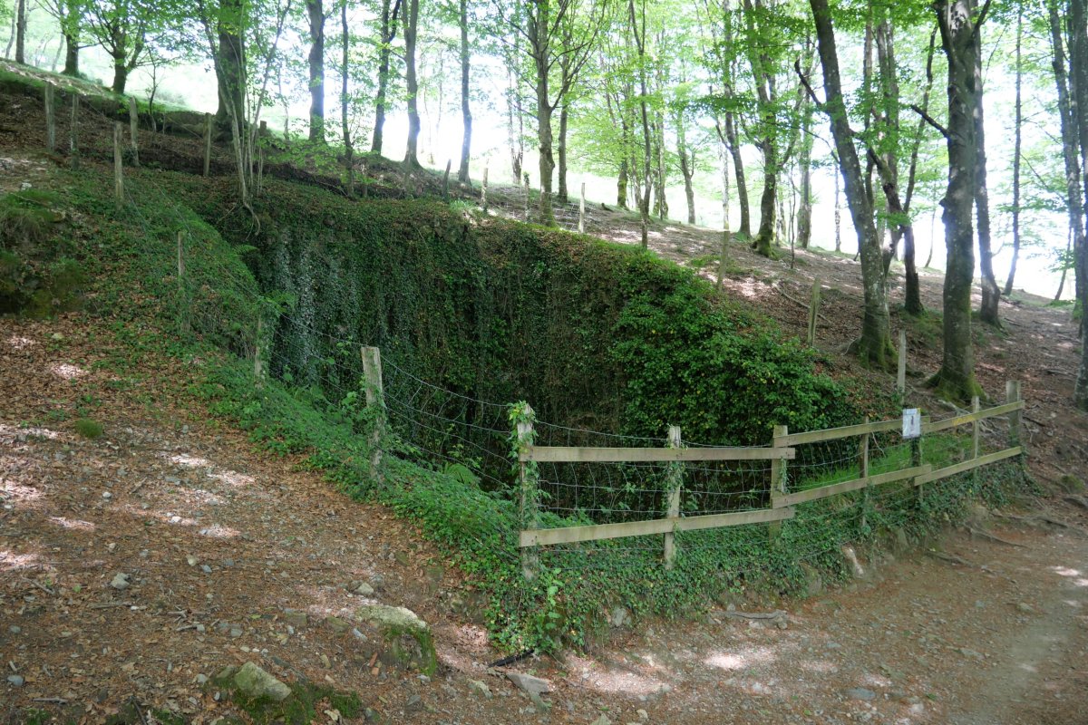 Elurretxeko elurzuloa