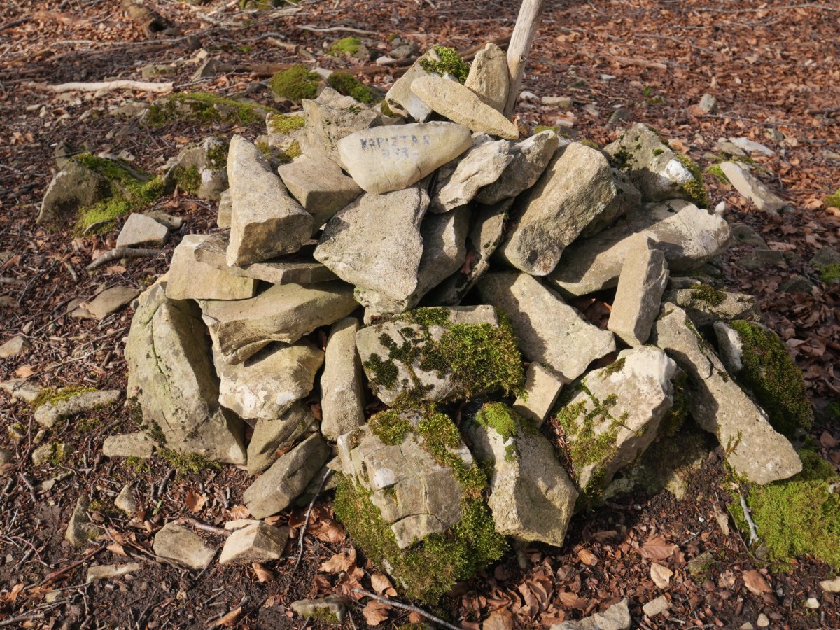 Gailurreko harripila, Kapiztar