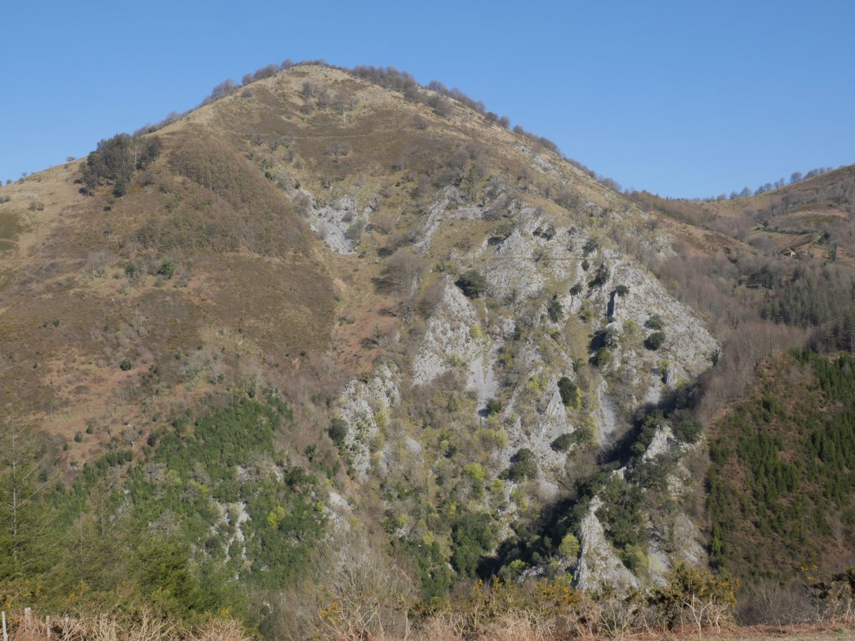 Pagota HEtik, Argixugañatik