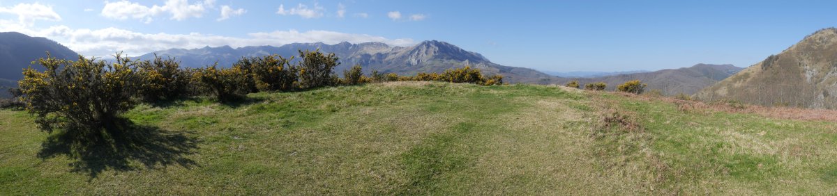 Argixugañako gailur belartsua