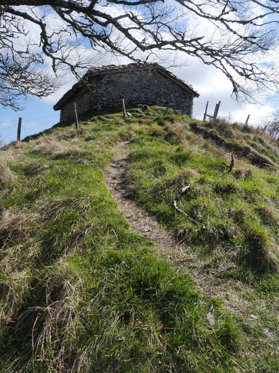 Malkorraundi tontorra