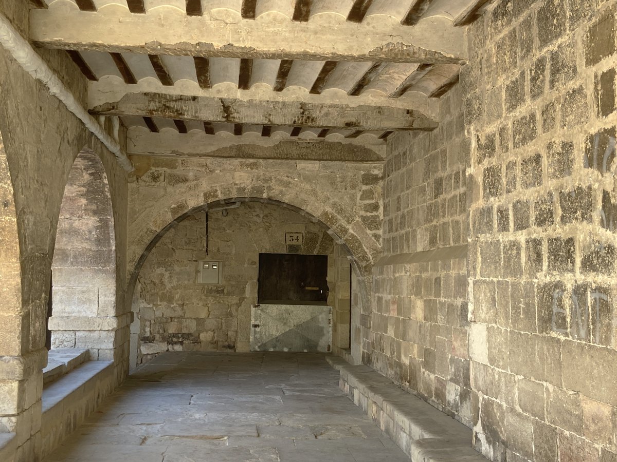 San Pedro Eliza. Trebiñu