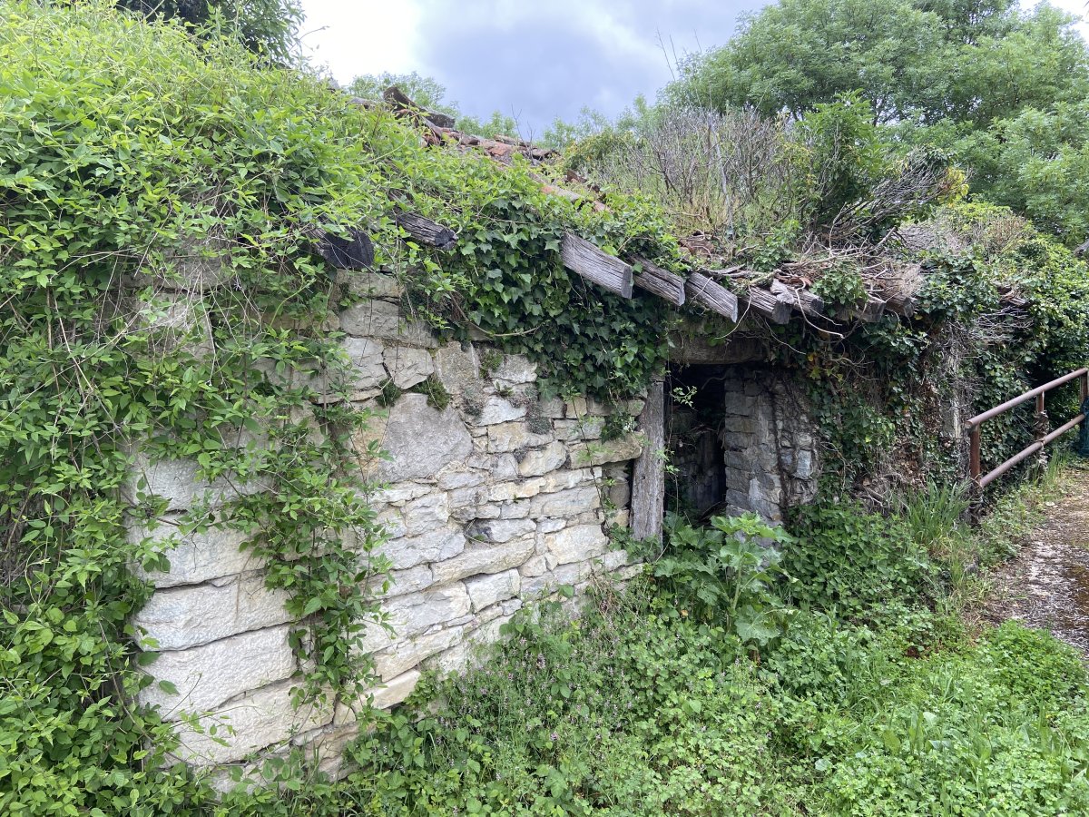 Errota. Erriberagoitia (Morillas)