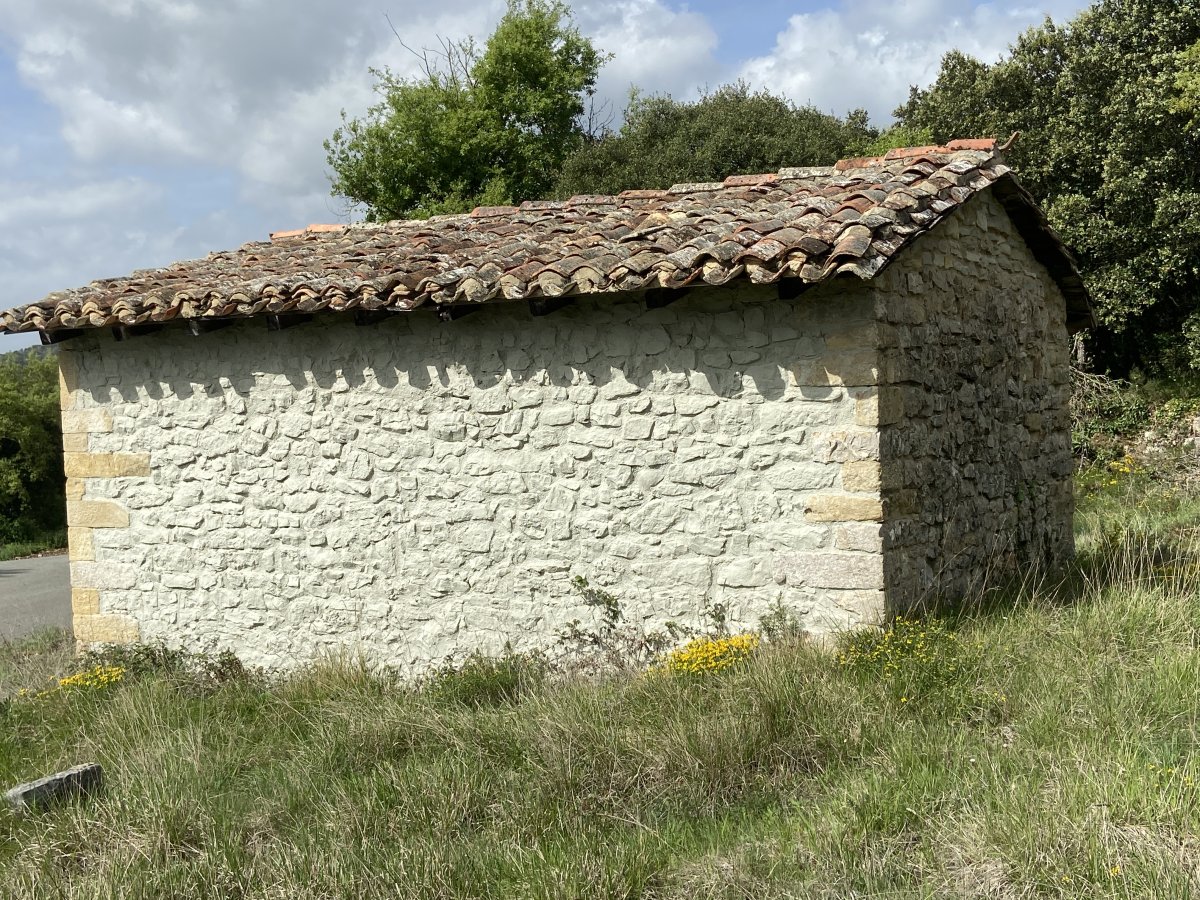 Las Animas Ermita. Erriberagoitia (Barron)