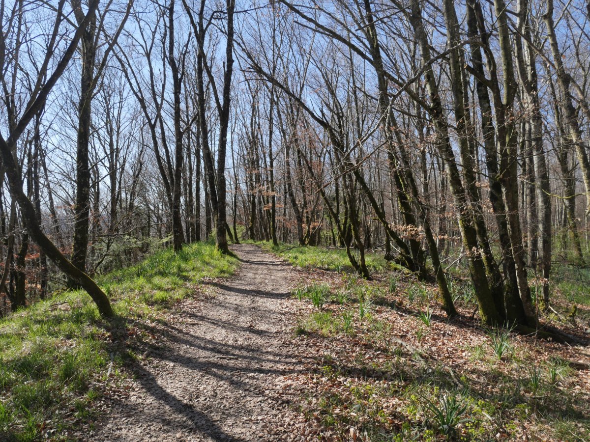 Beuntzako Gaina (tarteko muinoa)