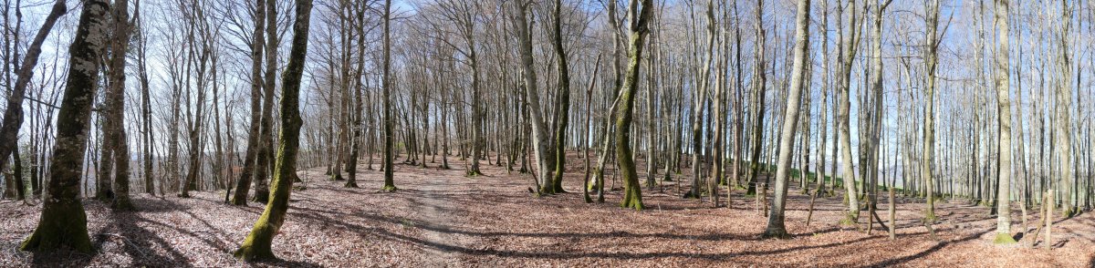 Itxondoa gainera gerturatzen iparraldetik