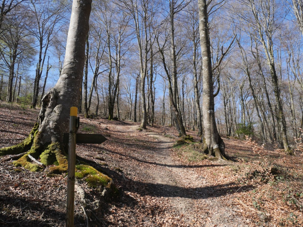 Arraldegañara jotzeko bidegurutzea