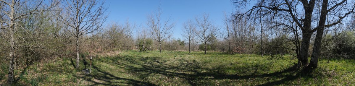 Arraldegaña gailurra