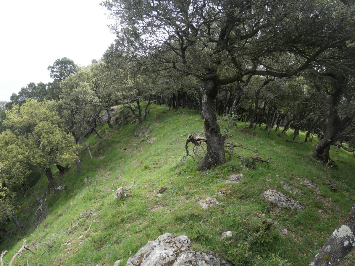 Illunbeta gailurra mendebaldetik