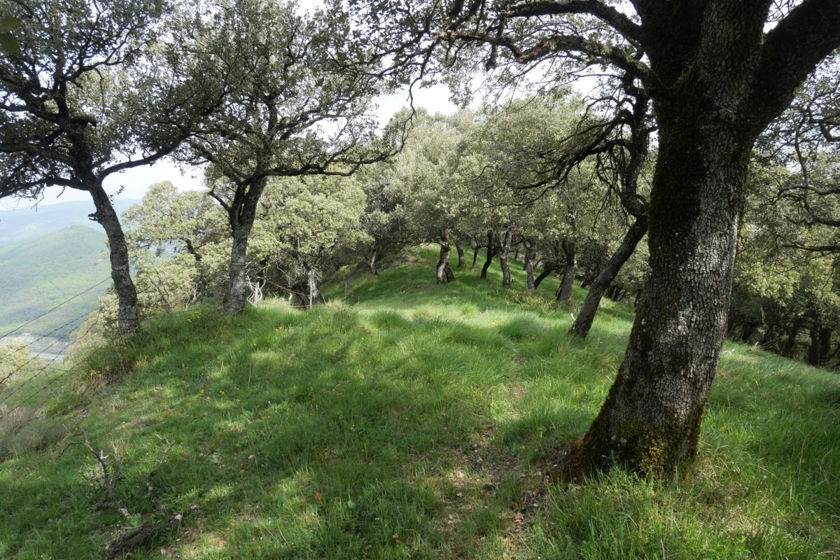 Iparraldeko muturrera doan bidea, Illunbeta