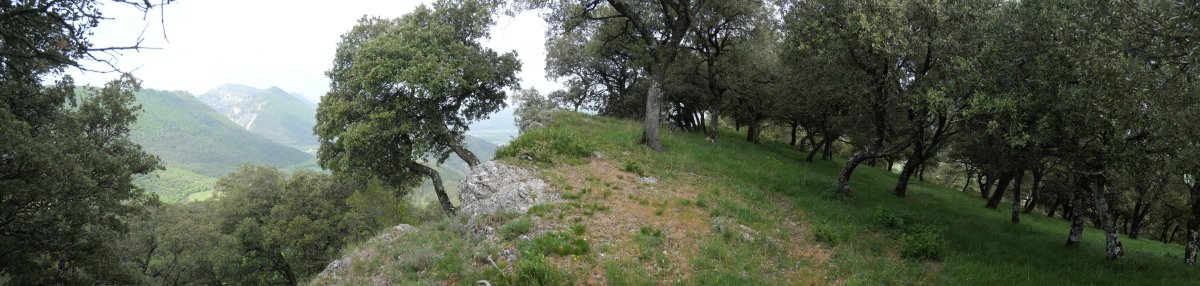 Iparraldeko muturra, Illumbeta