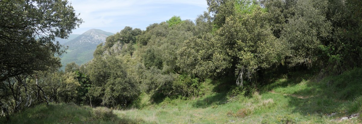 Bidean Peña del Mayo ageri denekoa
