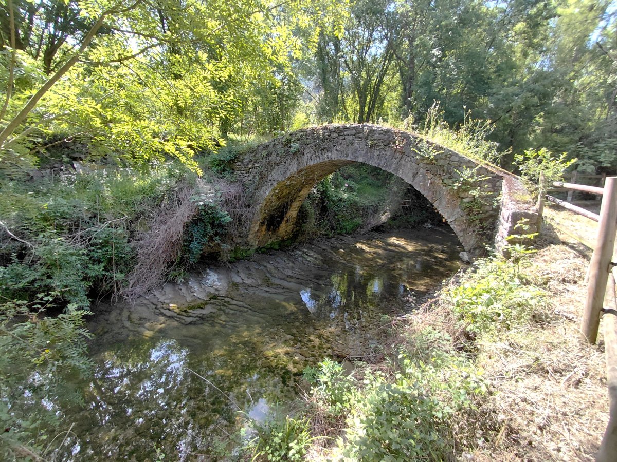 Ibarra Zubia. Aiara (Izoria)