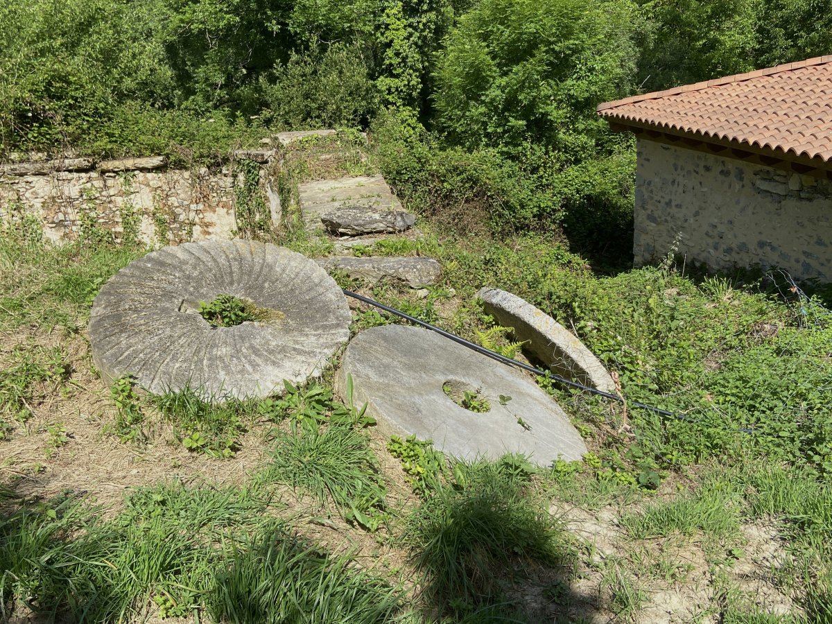 Urezandi Errota. Aiara (Izoria)
