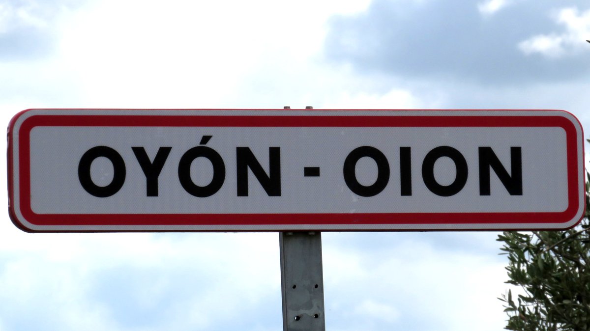 Oion