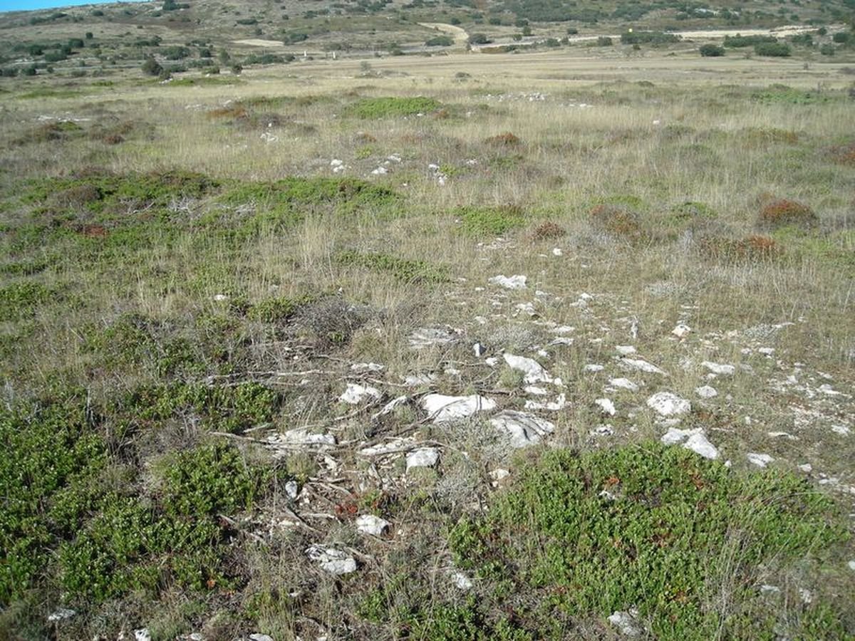alto de la mazorra