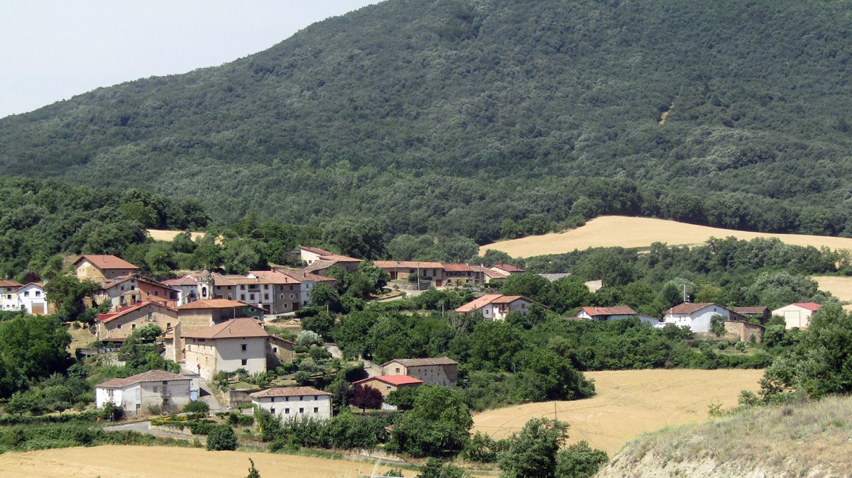 Bujanda, Kanpezu