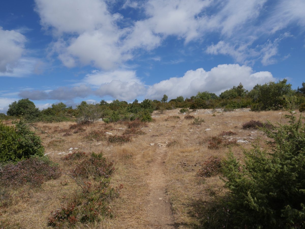 Mortxeko igoera