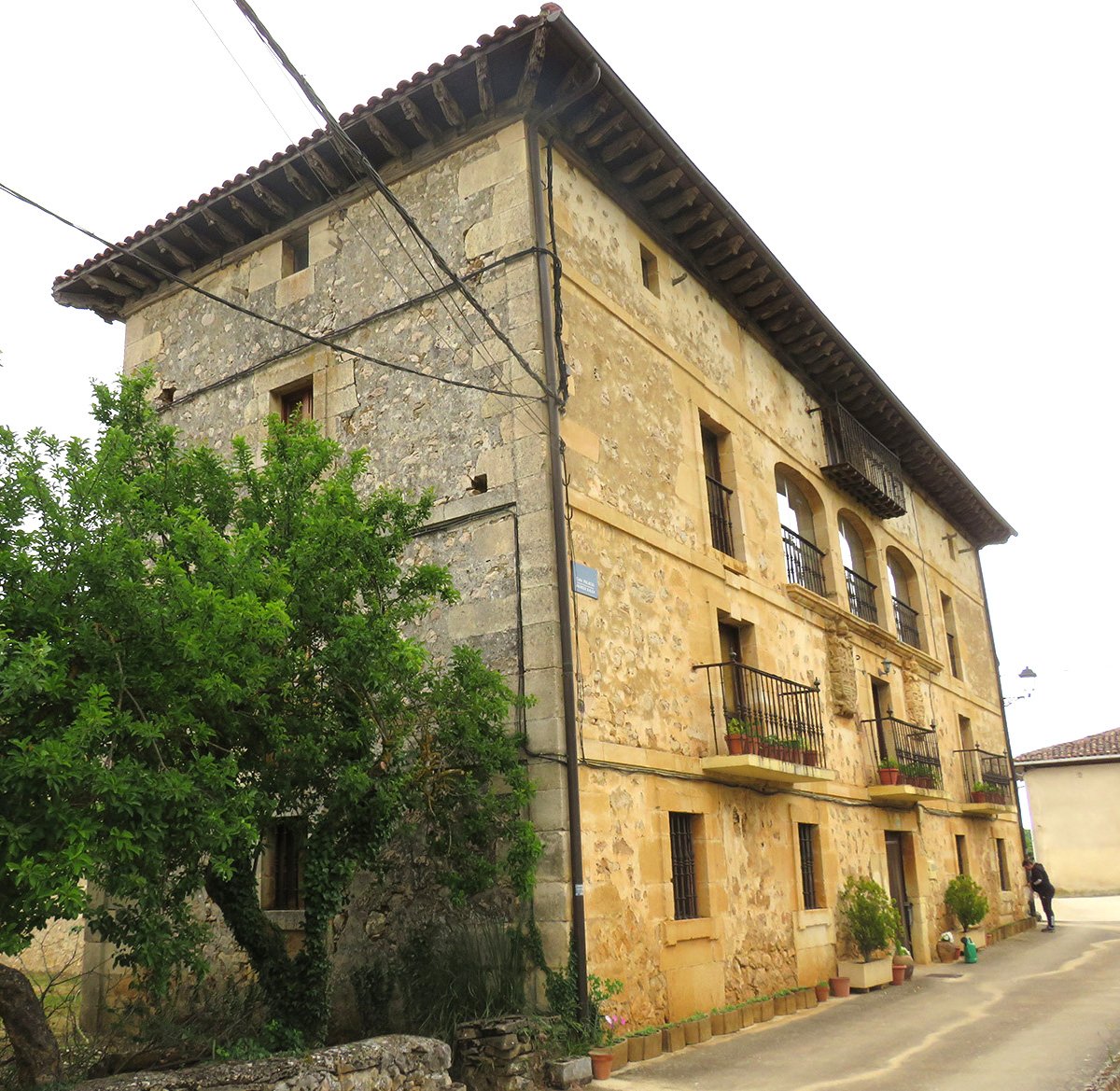 Viana jauregia, Lagran
