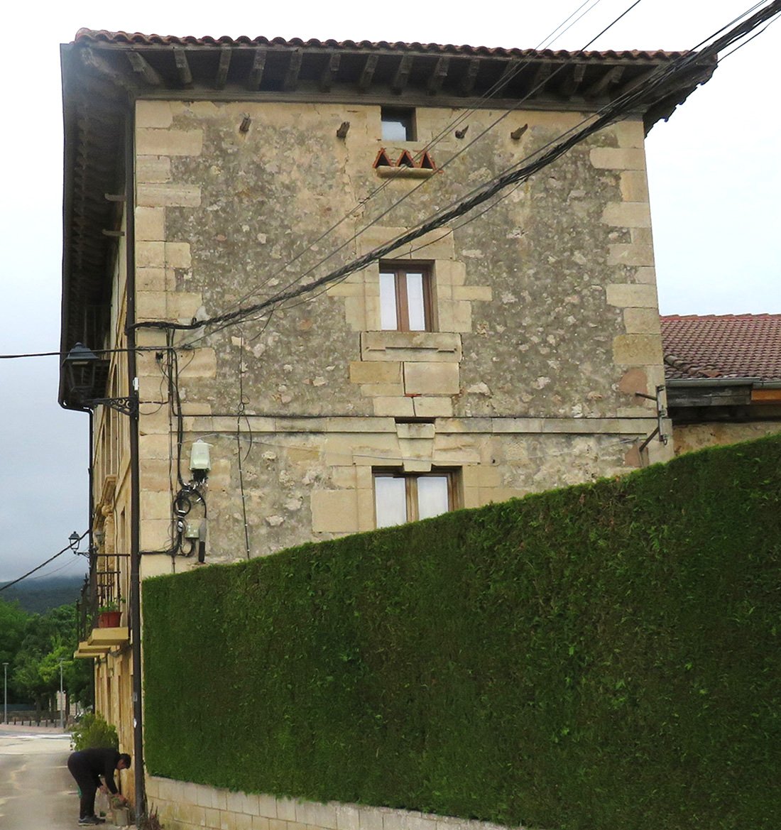 Viana jauregia, Lagran