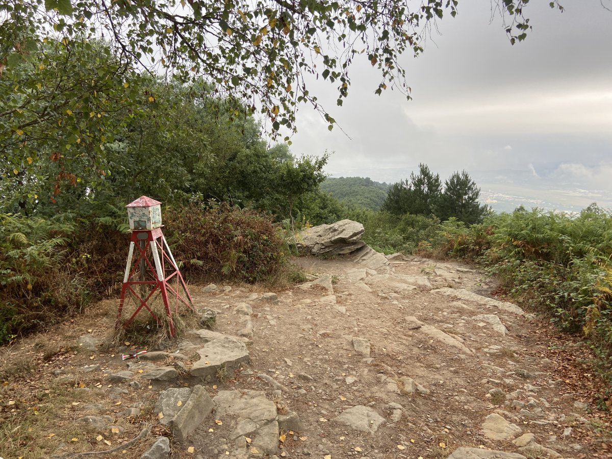 Tontorra