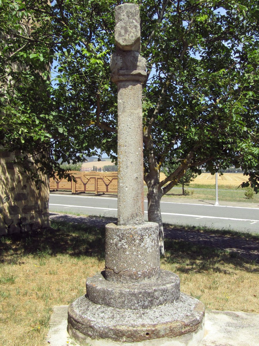 Gauna kruzeroa, Gauna Iruraitz-Gauna