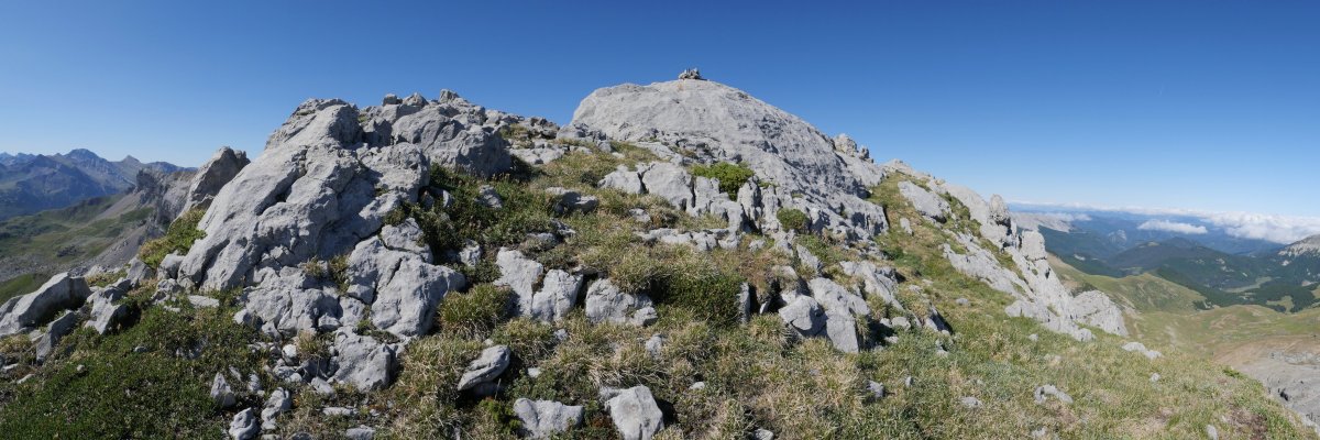 Anzotiello tontorra