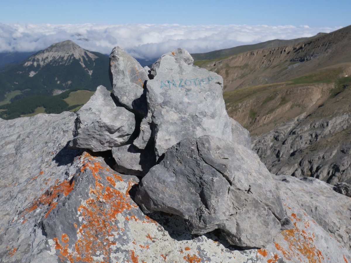 Anzotiello tontorra