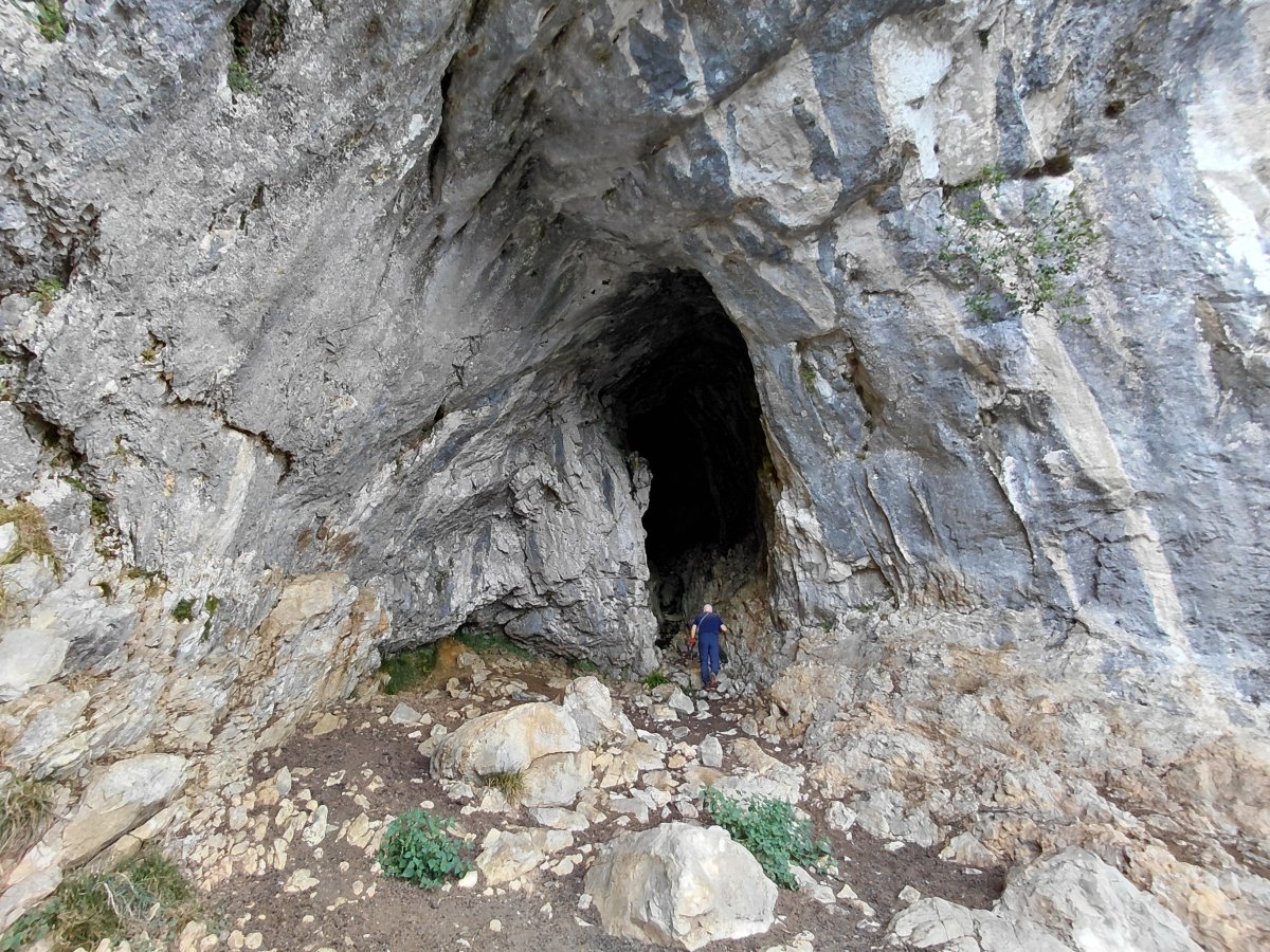 kobaso. Dima (Oba)