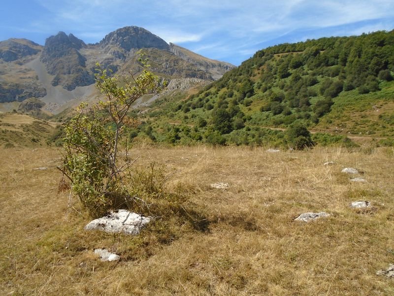 mampodre