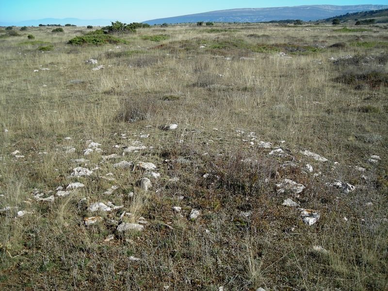 campo tumular la mazorra