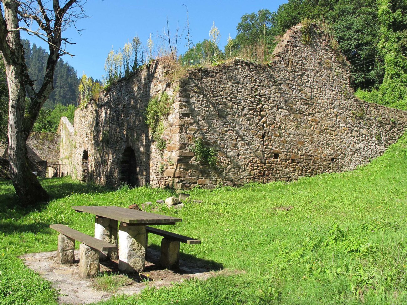 Bolunburu burdinola, Zalla