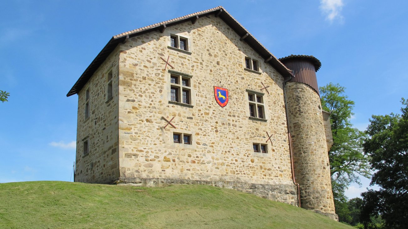 Gamueko Jauregia, Gamue