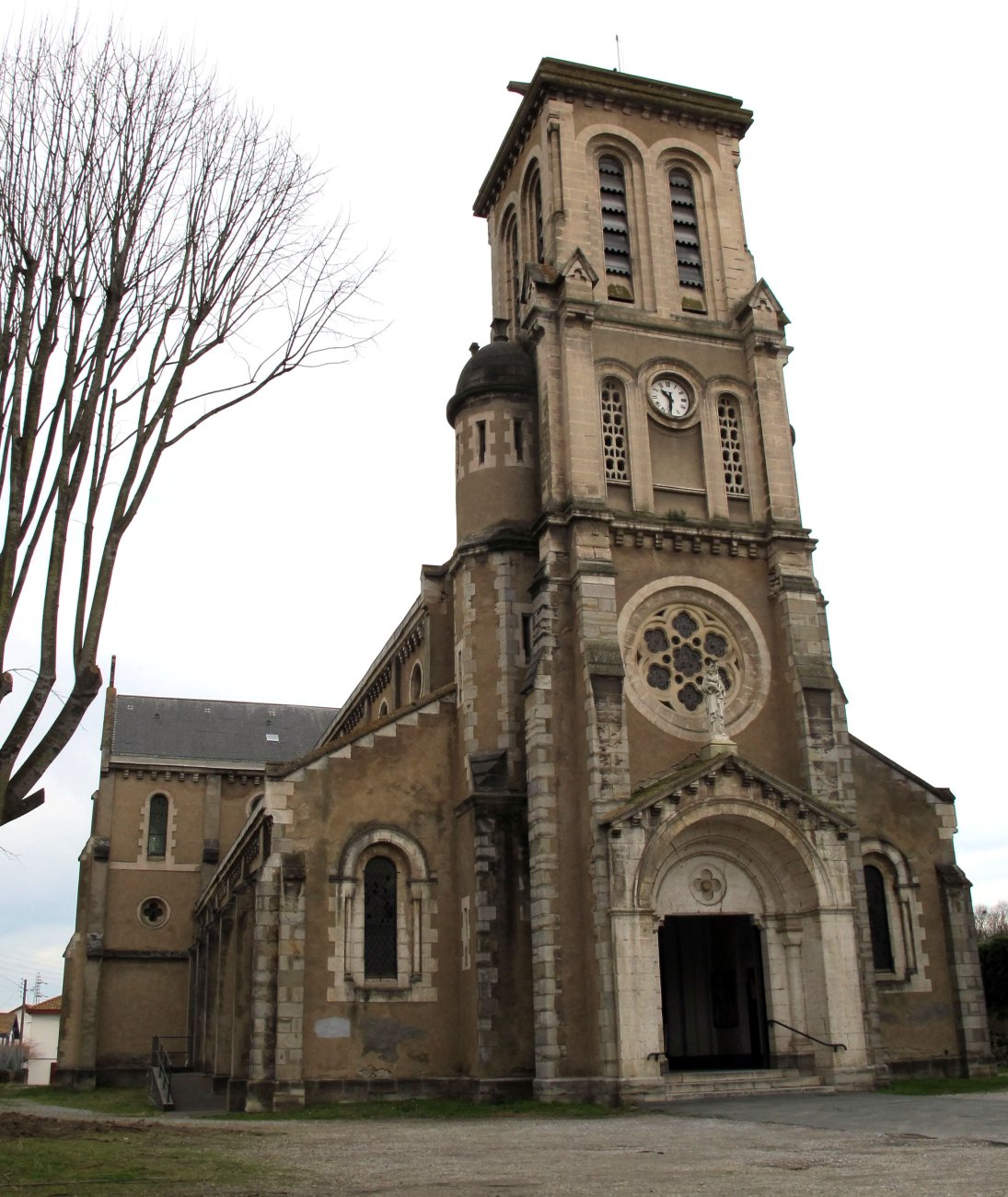 Notre Dame eliza, Bokale