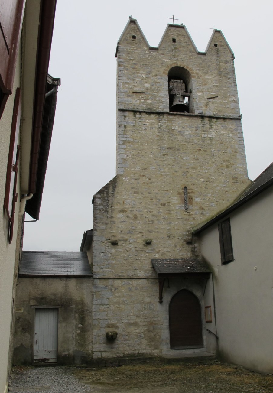 Notre Dame eliza, Maule