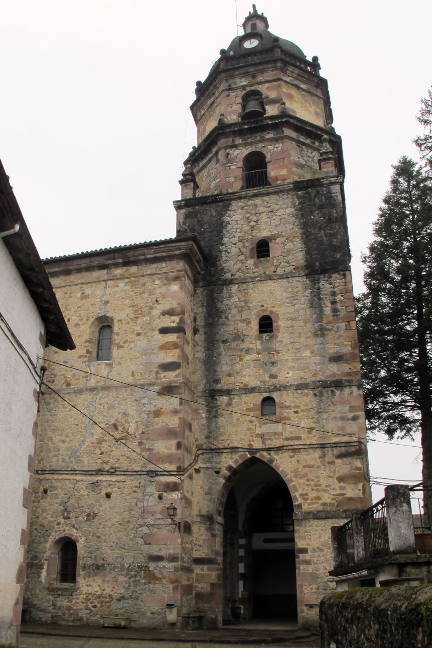 Salbatore eliza, Irurita