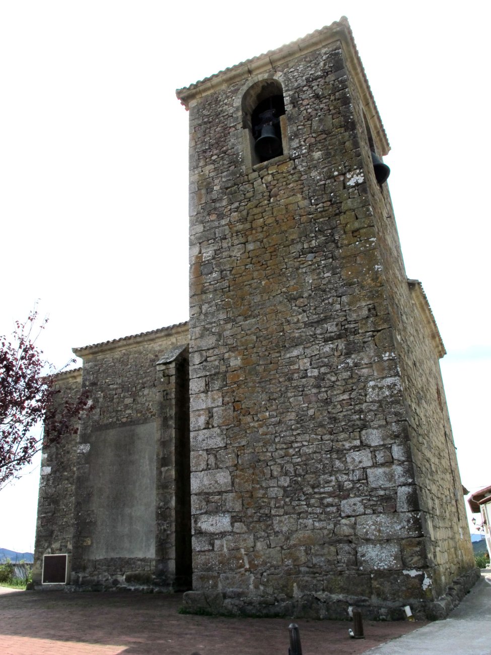 Asuncion eliza, Murillo-Longida