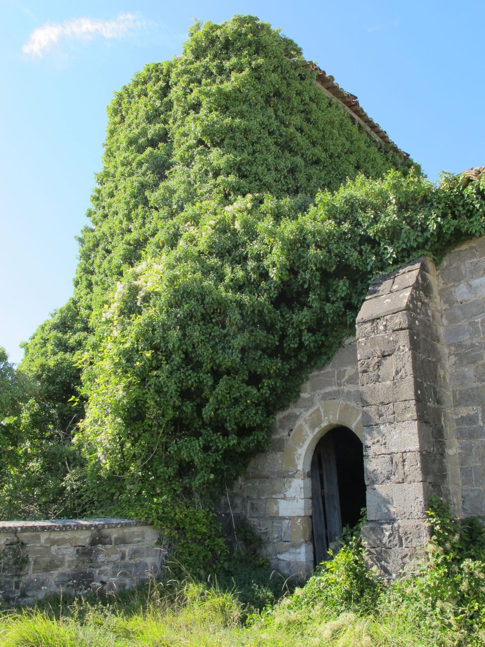 Inmaculada eliza, Ulibeiti-Longida