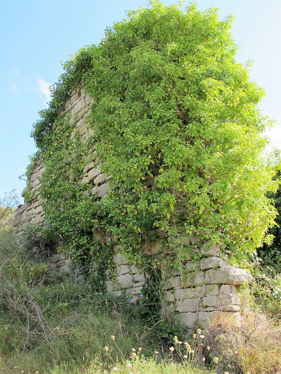 Santa Luzia ermitaren hondakinak, Bargota