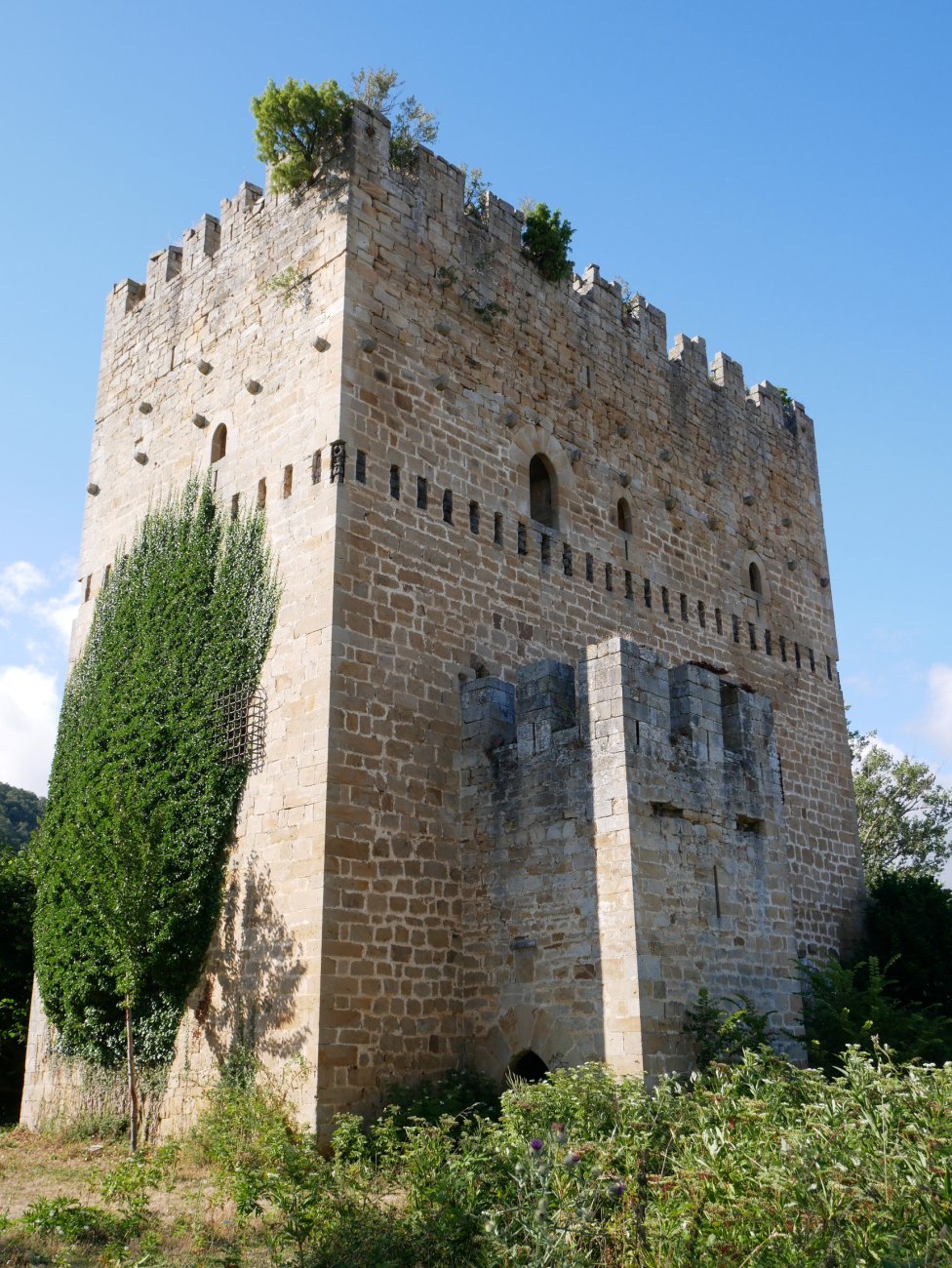 Velasco dorretxea, Espinosa de los Monteros