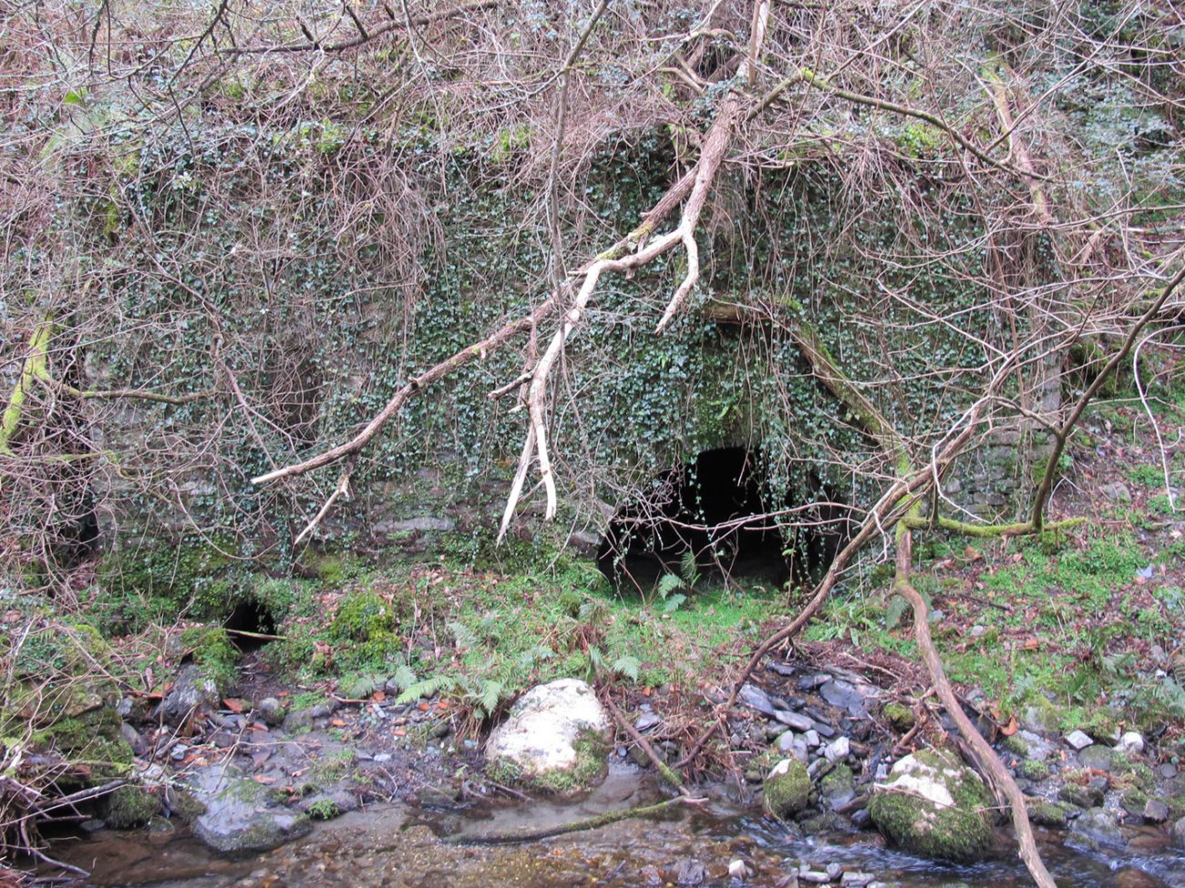 Beheko Errota, Arano