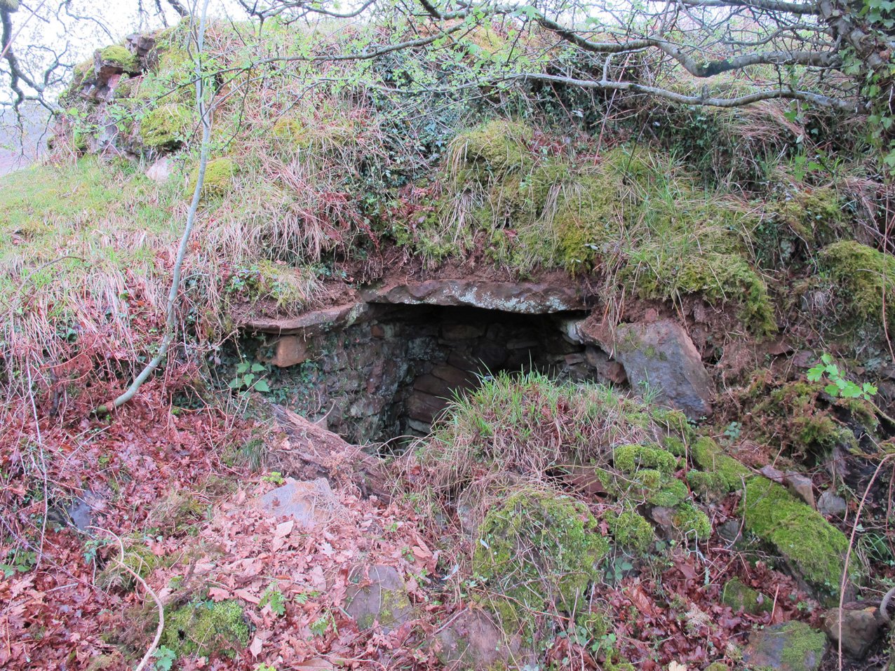 Urtsua karobia, Etxalar