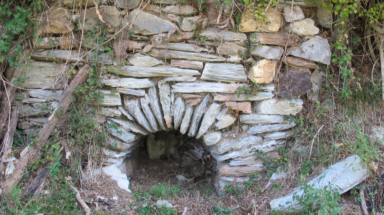 Dornaku karobia, Bera