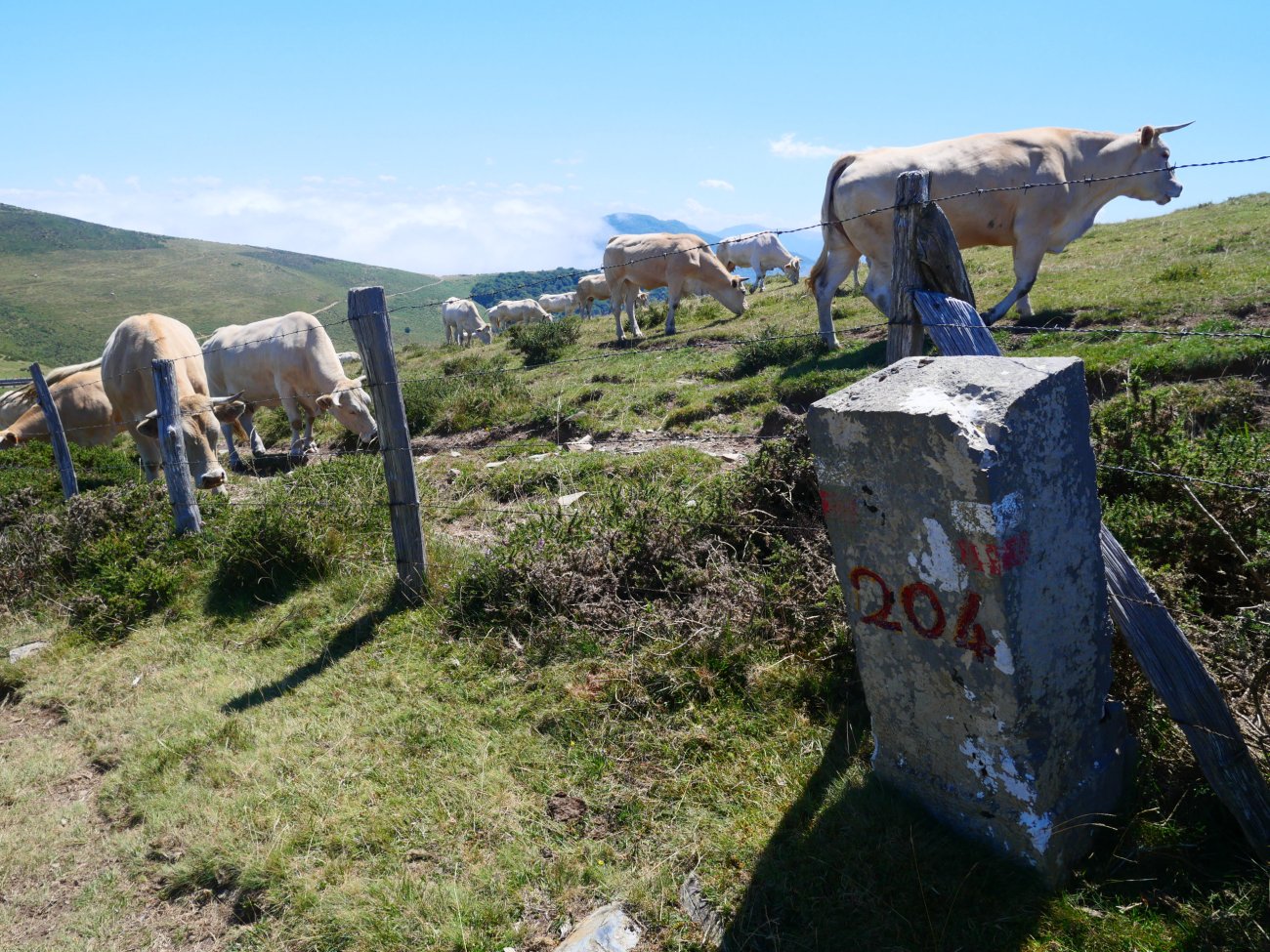 204. mugarria, Arnotegiko lepotik gertu