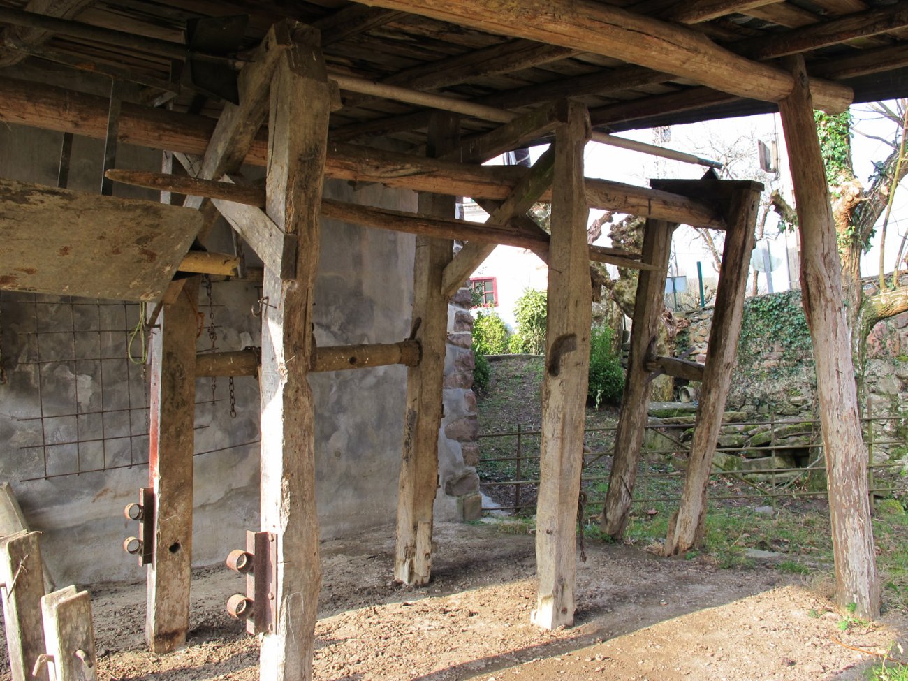 Olazarrea perratokia, Etxalar