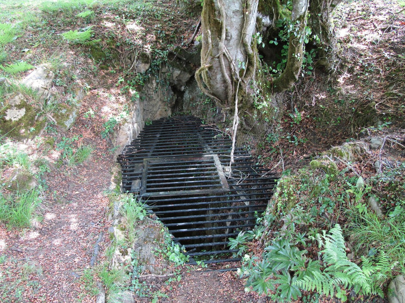 Legarreako Lezea, Gaztelu-Donamaria