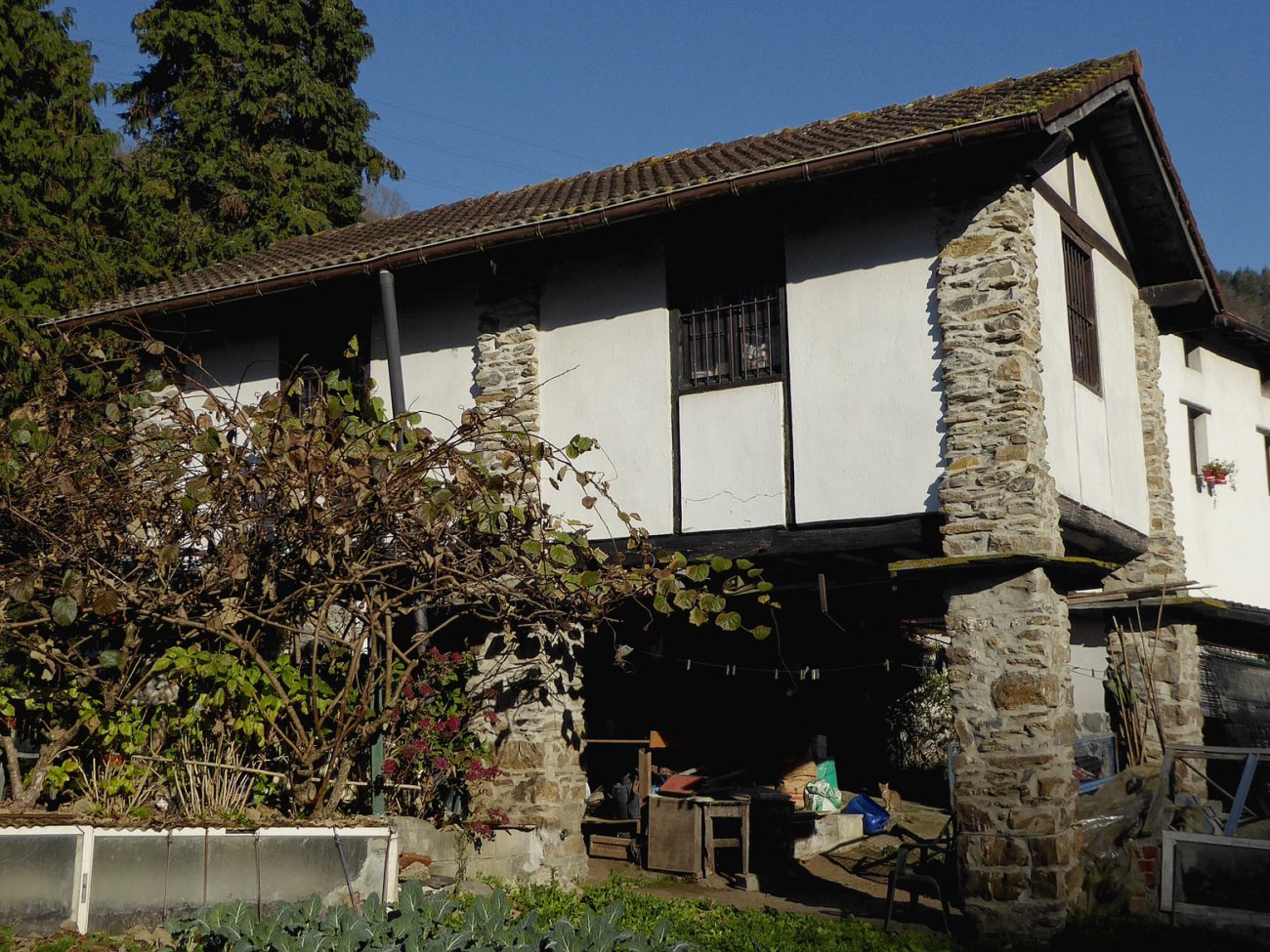 Gorotzenea garaia, Alegia