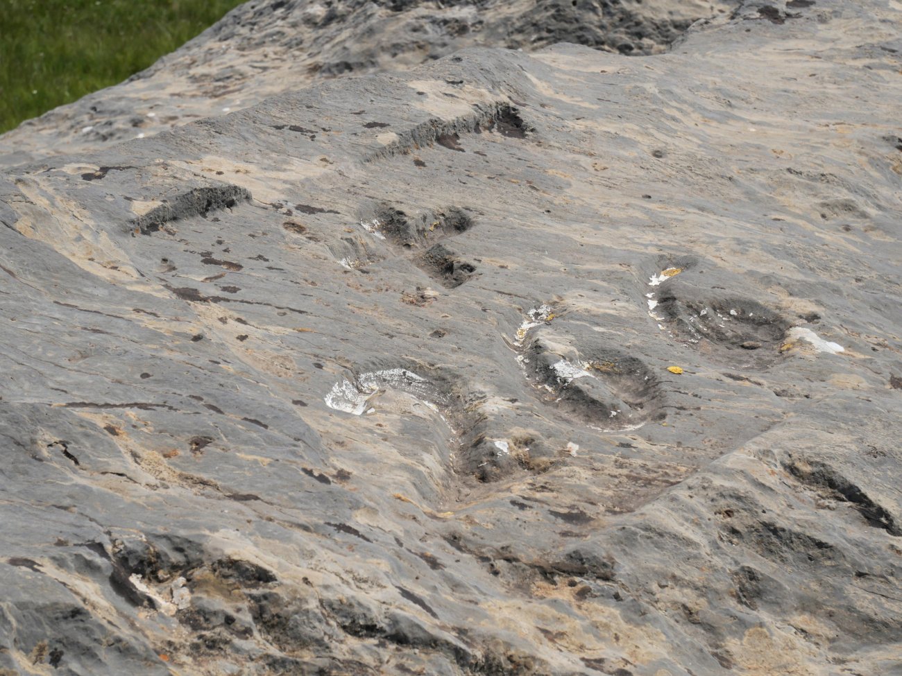 266. mugarria Portillo de Abajo lepoan