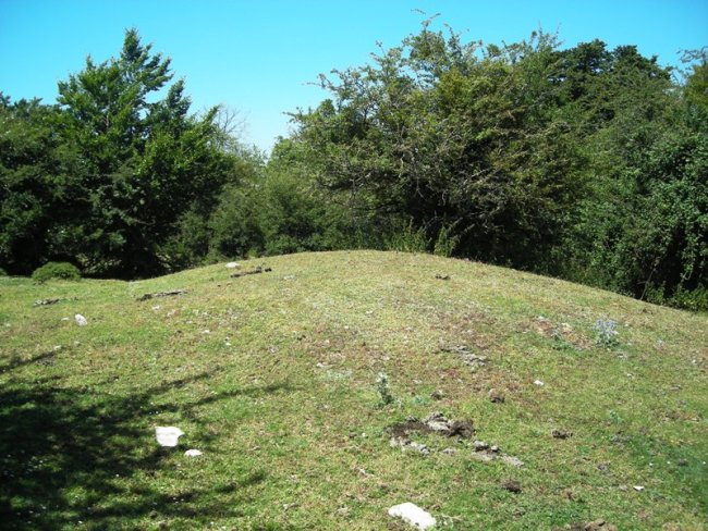 Saguain fondo de cabaña
