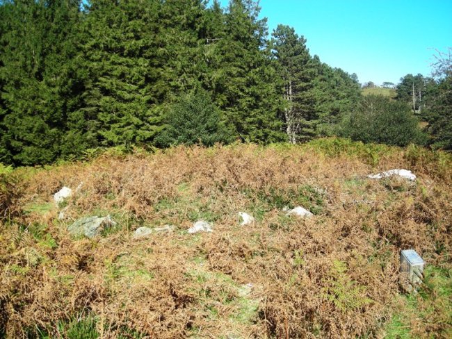 Elutxo Arria harrespila